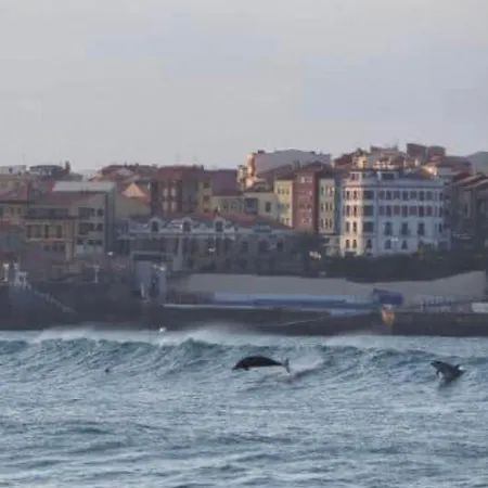 Muelle De * Χιχόν